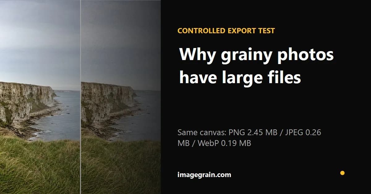 Controlled PNG JPEG and WebP film grain export size comparison