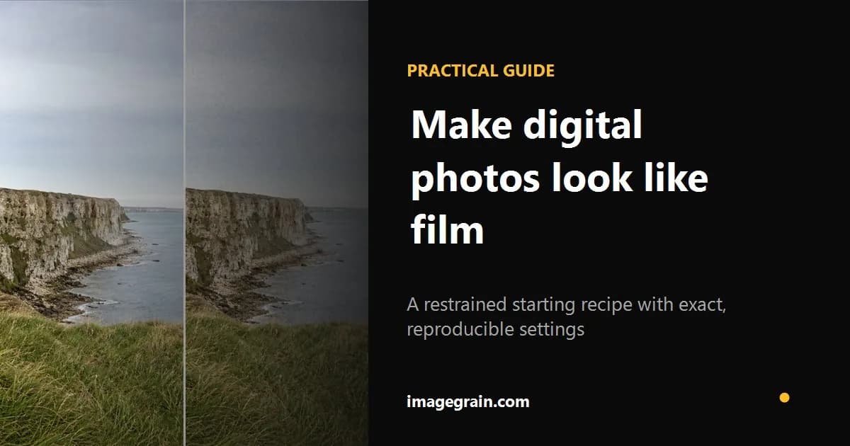 Digital landscape before and after a restrained reproducible film-look treatment