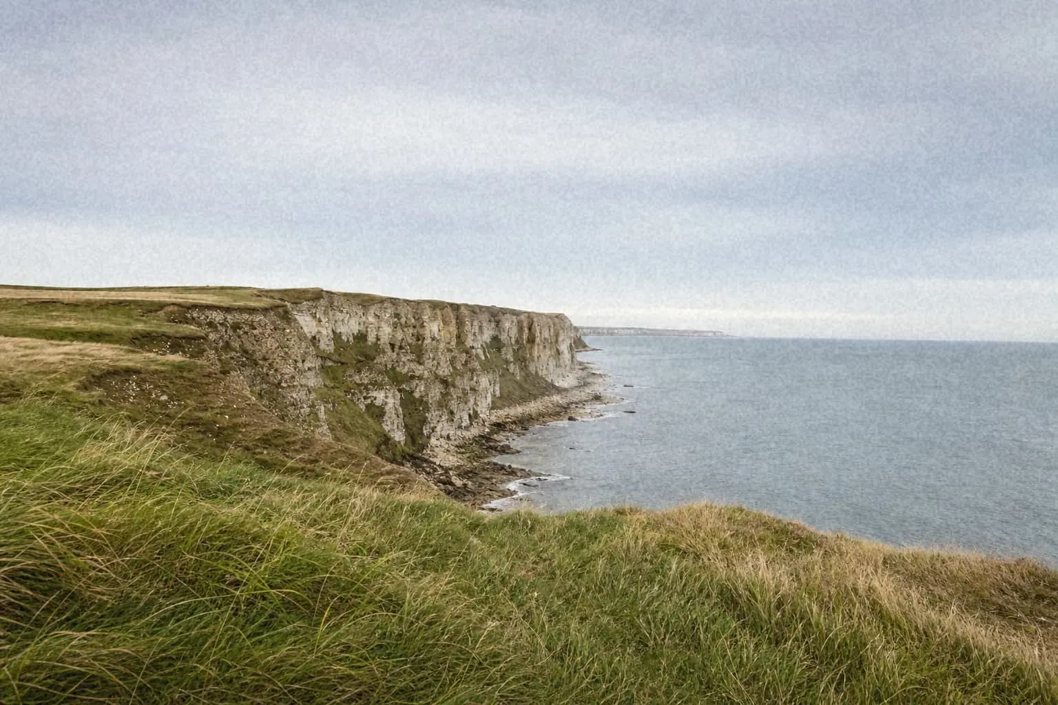 Overcast coastal landscape with muted color-negative grain